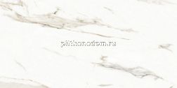 Neodom Splendida Marmol Carrara Polished Керамогранит 60x120 см
