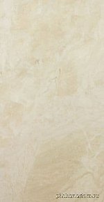 Finezza Коллекция №13 GQIP62017 Настенная плитка 60x30 см