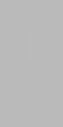 Fakhar Monocolor Light Gray Серый Матовый Керамогранит 60х120 см