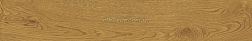 Atlas Concorde Exence Amber Керамогранит 20x120 см