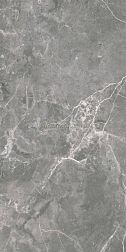 Сeramiche Ricchetti Marble Boutique Fior Bosco Lux Серый Полированный Керамогранит 59,4x119 см