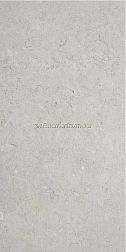 Stylnul (STN Ceramica) Inout Caliope Pearl Rect Серый Матовый Ректифицированный Керамогранит 60х120 см
