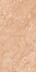 Fakhar Lomeric Beige Бежевый Глянцевый Керамогранит 50х100 см