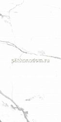 Primavera PR207 Salvatore Polished Керамогранит 60x120 см