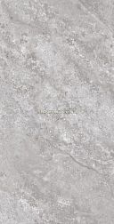 Fakhar Lomeric Dark Gray Серый Глянцевый Керамогранит 50х100 см