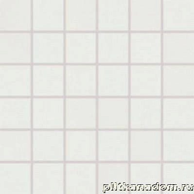 Rako Tendence WDM06051 Мозаика (5x5) 30x30 см
