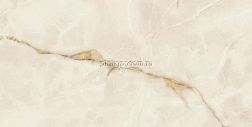 Atlas Concorde Russia Symphonyx Gold Керамогранит 120x278 см