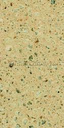 Technistone Granite Sonora Агломератная кварцевая плитка 304х140х20 см