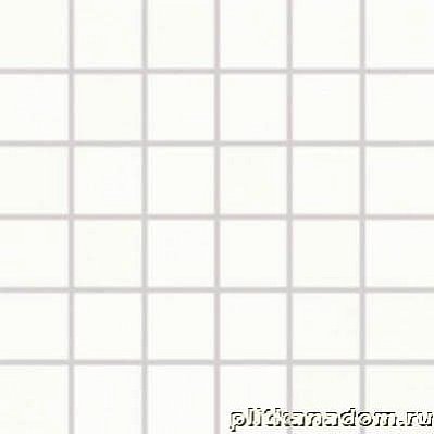 Rako Tendence WDM06050 Мозаика (5x5) 30x30 см