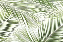 Ceramika-Konskie Brennero Tropic Панно (из 2 шт.) 50x75 см