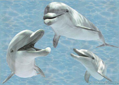 Березакерамика Лазурь Панно Дельфины 105х75