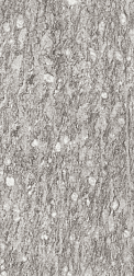 Flavour Granito Earth Grey Carving Серый Матовый Керамогранит 60x120 см