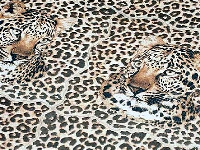 Leopard 31х31