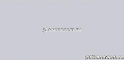 Rako Concept Plus WAAMB010 Wall tile Настенная плитка 20x40 см