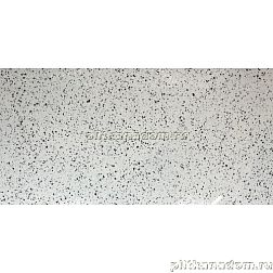 Armano Terazzo Silver Poiish Полированный Керамогранит 60х120 см