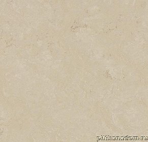 Forbo Marmoleum Click 633711 Cloudy Sand Виниловая плитка 600х300