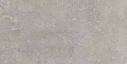Ariana Memento Bruges Grey Ant R Серый Матовый Ректифицированный Керамогранит 60x120 см