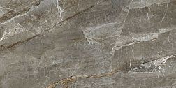 Absolut Gres Aquafina Natural AB 1128G Gloss Коричневый Полированный Керамогранит 60x120 см
