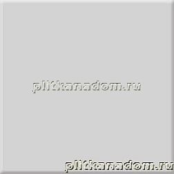 Absolut Keramika Milano Gris Brillo Настенная плитка 10х10 см