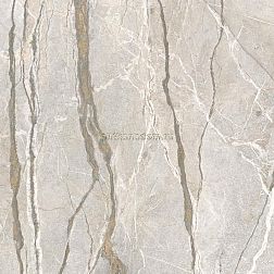 Flaviker Supreme Hedonism Silver Roots Lux Rett. Керамогранит 120х120 см