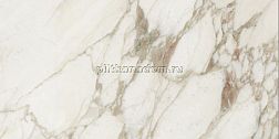 Rex I Вianchi di Rex 727614 Calacatto Lucido Керамогранит 30x60 см