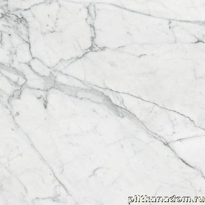 Kerranova Marble Trend Carrara K-1000-MR-S1 Керамогранит 60x60