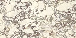 Ariostea Marmi Classici Calacatta Viola Soft Микс Матовый Керамогранит 60х120 см