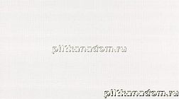 Rako Symbol WATP3090 Wall tile Настенная плитка 25x45 см