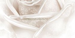Belleza Нежность В Декор 50х25 см