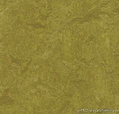 Forbo Marmoleum Real 3239 olive green Линолеум натуральный 2,5 мм