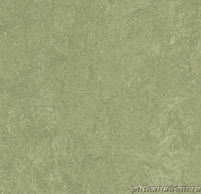 Forbo Marmoleum Real 3240 willow Линолеум натуральный 2 мм