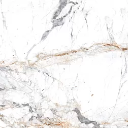 Arcadia Ceramica Керамогранит SILVER DOVE 60х60 FP