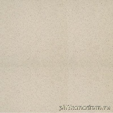 Rako Taurus Granit TALSA061 Tunis Напольная плитка полиованная 30x60 см