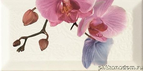 Monopole Bisel Decor Orchidea 4 Декор 10x20