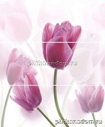 Cerrol Imperia Tulipa Панно (из 3-х штук) 60x50 см