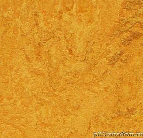 Forbo Marmoleum Decibel 312535 golden sunset Линолеум натуральный 3,5 мм