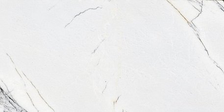 Maimoon Spider White glossy Керамогранит 60x120 см