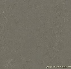 Forbo Marmoleum Click 633723 Nebula Виниловая плитка 600х300