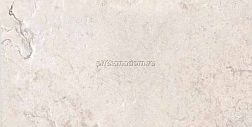 Ariana Memento Limoges White Ant R Бежевый Матовый Ректифицированный Керамогранит 60x120 см