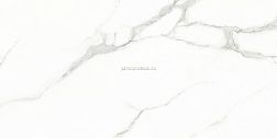 Creo Ceramique GJT612670 White cararra Керамогранит 60х120 см