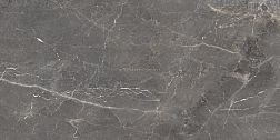Ocean Ceramic Tulip Grey Серый Полированный Керамогранит 60х120 см