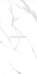 Staro Velvet Statuario Carvino Matt.Rett. Керамогранит 60x120 см