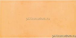 Rako Tulip WATMB021 Wall tile Настенная плитка 20x40 см