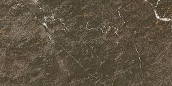 Ocean Ceramic Иран Baron Brown Керамогранит 60х120 см