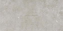 Stylnul (STN Ceramica) Glamstone Inout Grey MT Rect Серый Матовый Ректифицированный Керамогранит 60x120 см