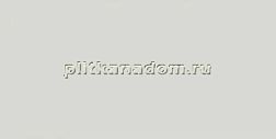 Equipe Evolution 20898 Gris Claro Brillo Настенная плитка 7,5x15 см