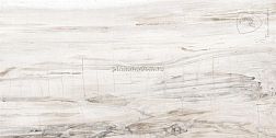 Tonino Lamborghini Estoril Decoro Logo Ivory Lapp Бежевый Лаппатированный Декор 60x120 см