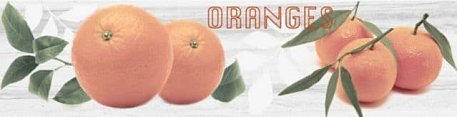 Monopole Naranjas C (Oranges) Декор 10х40