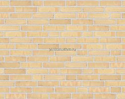 Randers Tegl Classica Gelb geflammt Handstrichziegel RT 215 RF Кирпич ручной формовки 25х2х6,5 см