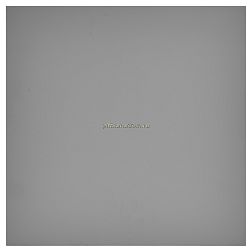 Casalgrande Padana Unicolore Grigio Mosca Naturale Керамогранит 60х60 см
